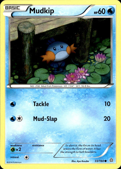 POKEMON MUDKIP 33 PRIMAL CLASH 160  LP